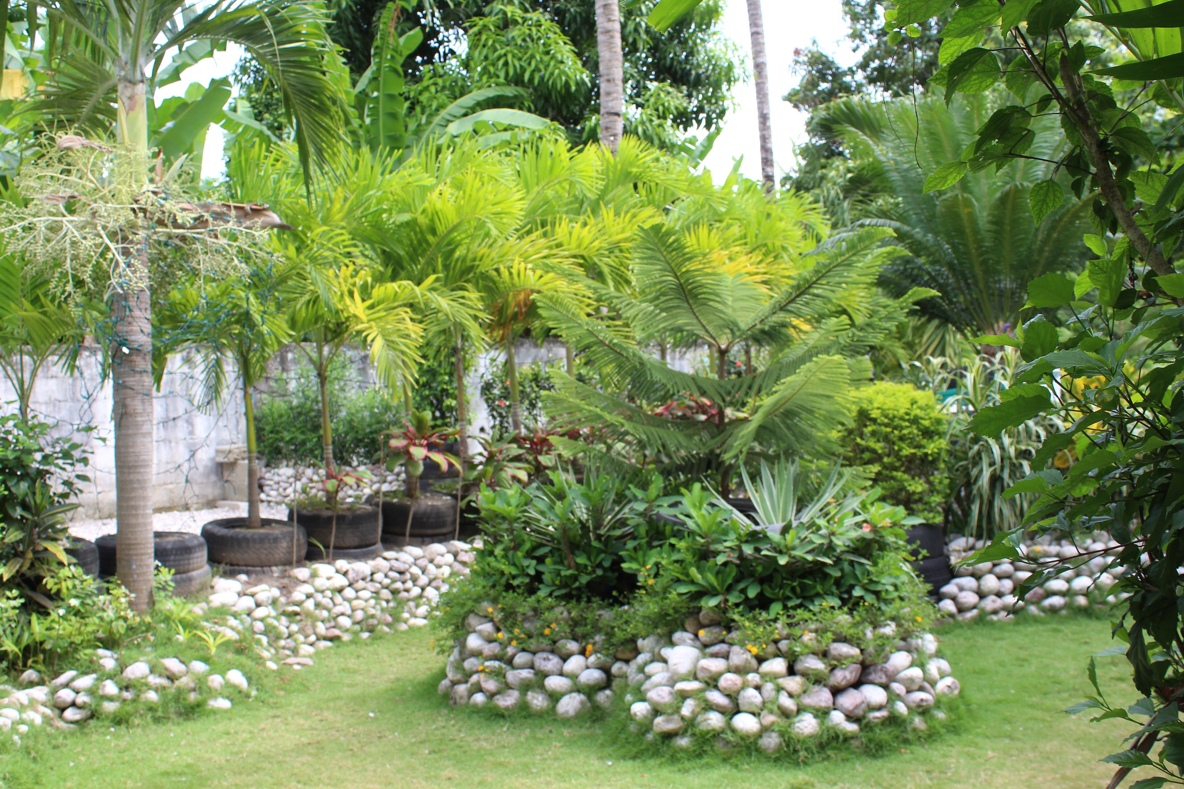 Le jardin botanique de Villa John, aux Cayes